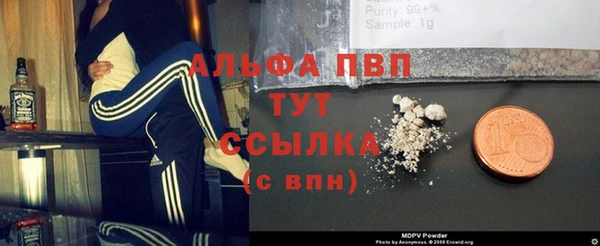 амф Богданович