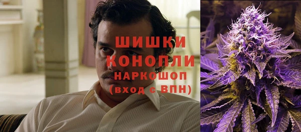 гашик Богородицк