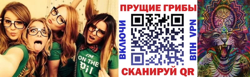Псилоцибиновые грибы GOLDEN TEACHER купить наркоту Белоозёрский